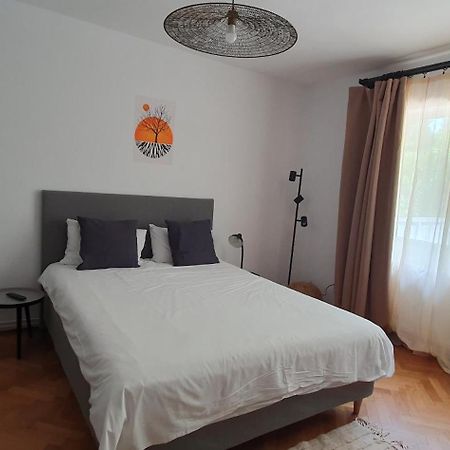 The Pines Serviced Apartments Brassó Kültér fotó