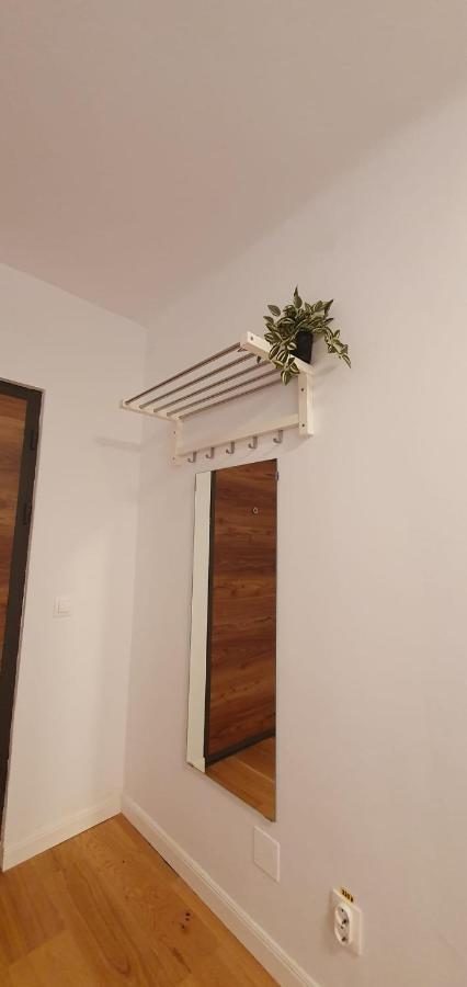 The Pines Serviced Apartments Brassó Kültér fotó